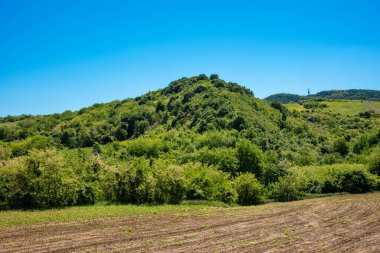 Fruska Gora Dağı. Voyvodina 'daki güzel tarım arazileri, meyve bahçeleri ve Sırbistan' ın Fruska Gora kenti yakınlarındaki verimli tarım toprağı