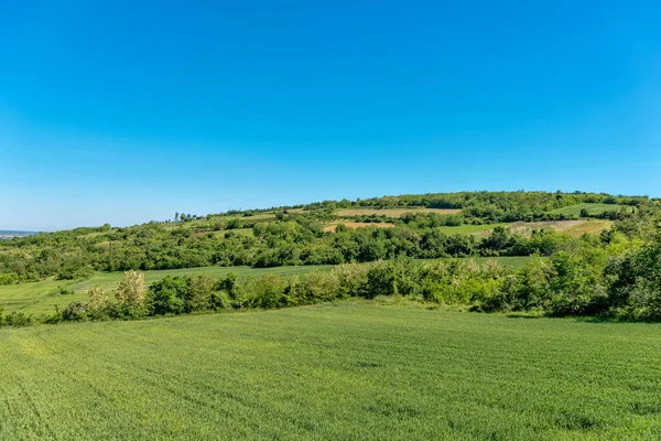 Fruska Gora山 塞尔维亚Fruska Gora附近伏伊伏丁那美丽的可耕地 果园和肥沃的农田 — 图库照片