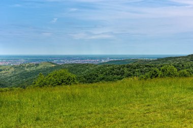 Fruska Gora dağından Novi Sad 'ın görüntüsü. 