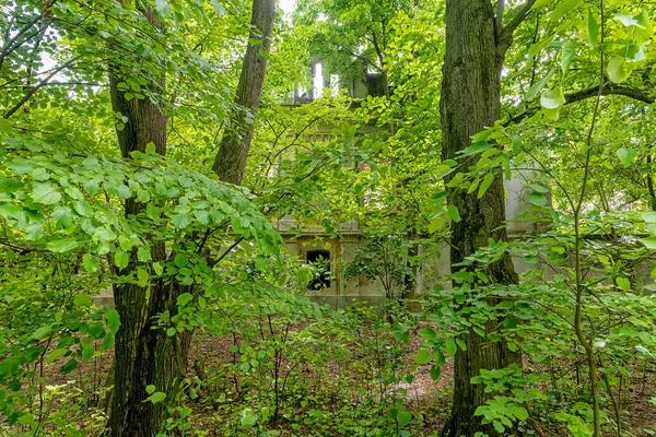 Gunaros Serbia May 2021 Abandoned Summer House Engelman Legacy Large — Stock Photo, Image