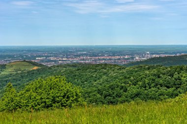 Fruska Gora dağından Novi Sad 'ın görüntüsü. 