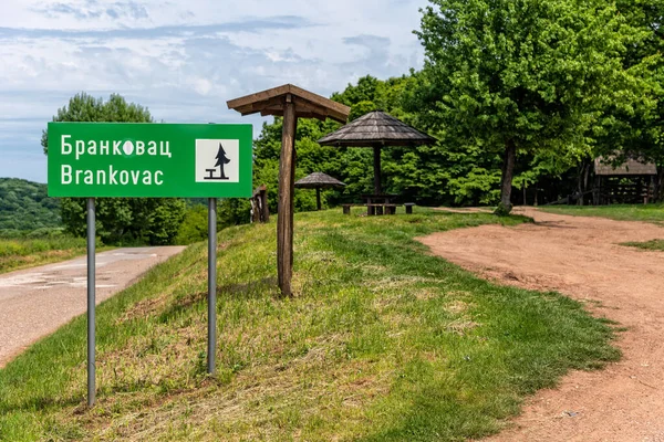 Brankovac Picnic Area Sulla Montagna Fruska Gora Serbia Situato Nella — Foto Stock