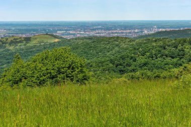 Fruska Gora dağından Novi Sad 'ın görüntüsü. 