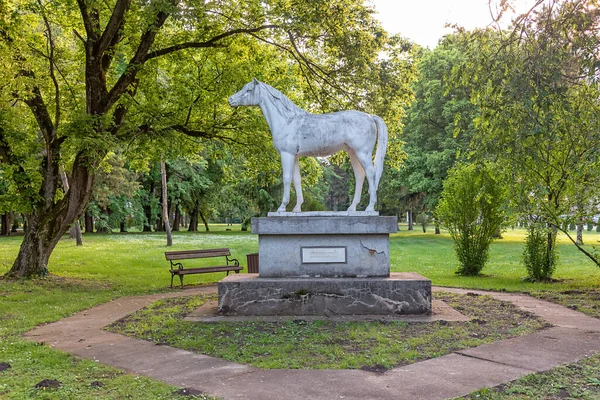 Zobnatica Serbie Juin 2021 Une Grande Sculpture Cheval Dans Parc — Photo