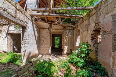 Gunaros, Sırbistan - 28 Mayıs 2021: 