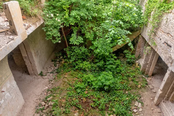 Dilapidated Abandoned Building Derelict Houses — Stock Photo, Image