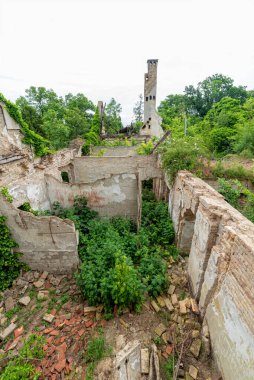 Sırbistan 'daki Terk Edilmiş Kale