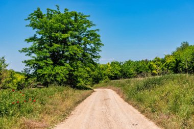 Nehrin yanındaki toprak yolda.