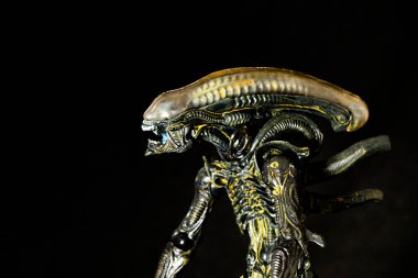 Novi Sad, Sırbistan - 05 Kasım 2025: 