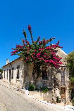 Fiskardo, Yunanistan - 11 Ağustos 2025: Kefalonia adasındaki Fiskardo köyünün sokak manzarası 