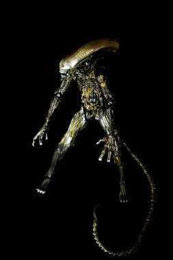 Novi Sad, Sırbistan - 05 Kasım 2025: 