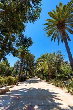 Malaga, İspanya - 06 Ağustos 2024: Malaga, Sevilla. 