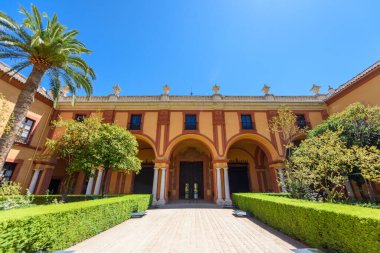 Sevilla, İspanya - 01 Ağustos 2024: Güzel Sevilla 'nın merkezinde Real Alcazar' ın görkemli bahçeleri 