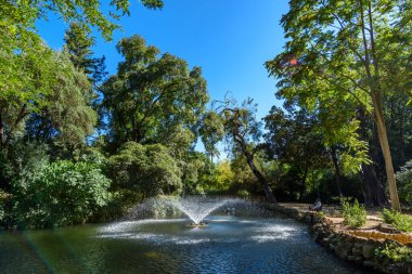 Isleta de los Pjaros En Sevilla