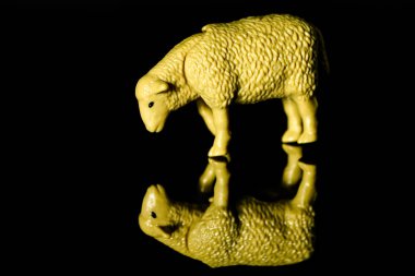 Oyuncak koyun kara arka planda