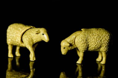 Oyuncak koyun kara arka planda