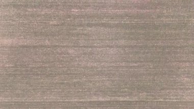 Titelski Breg ya da Titel Hill, Sırbistan 'ın Voyvodina eyaletinde yer alan bir yayladır..