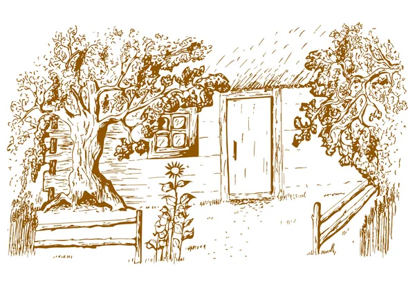 Vieille cabane, illustration vectorielle . — Image vectorielle