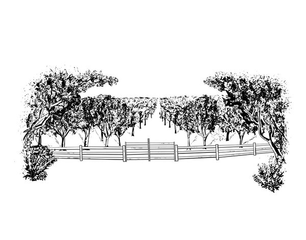 Landscape with orchard