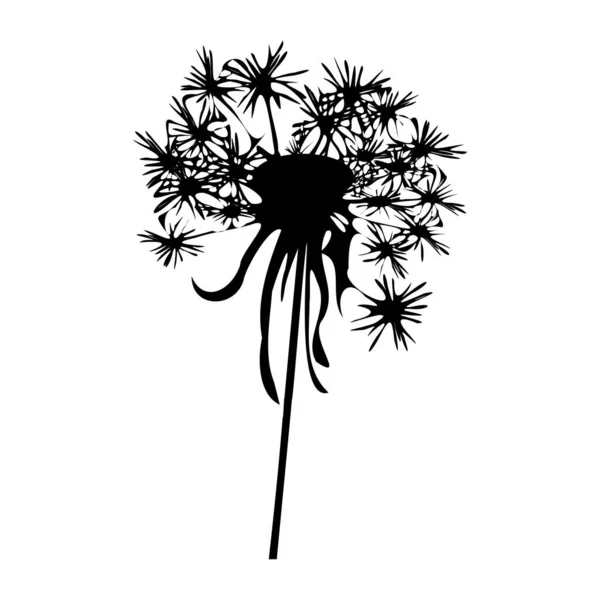 Dandelion Silhouette Vector Illustration — Stock Vector