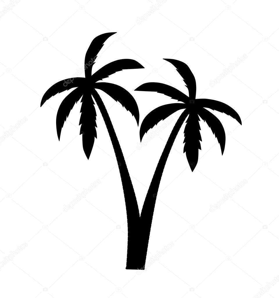 Palm