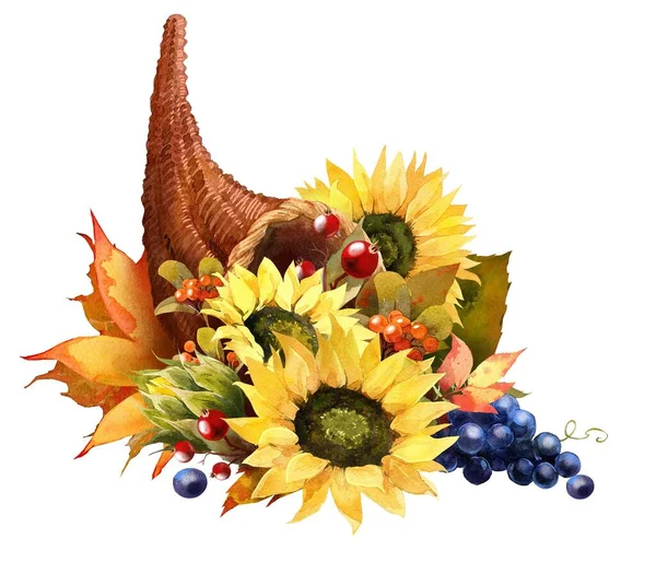 Watercolor Fall Cornucopia clipart. Autumn Harvest Clip Art, Thanksgiving Day art — Stock Photo, Image