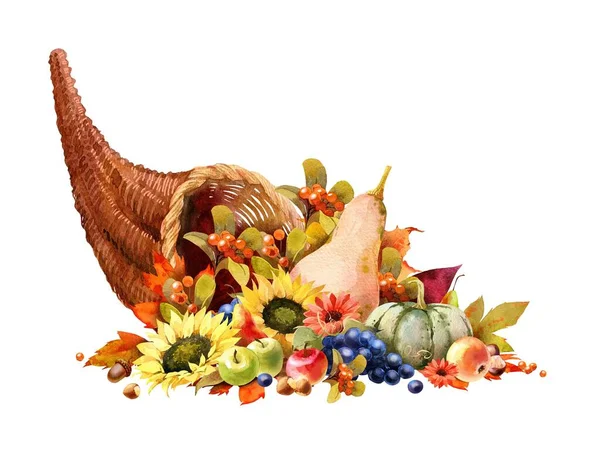 Watercolor Fall Cornucopia clipart. Autumn Harvest Clip Art, Thanksgiving Day art — Stock Photo, Image