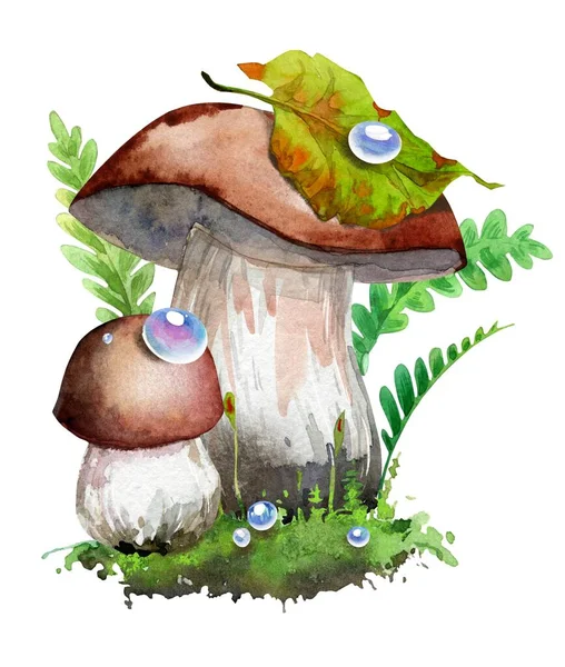 Skogssammansättning, svamp, eko stil, naturliga höstklappar, naturlig stil. Akvarell illustration handgjord — Stockfoto