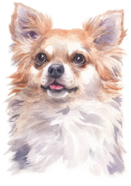Chihuahuaの水彩画 ロイヤリティフリーのストック写真