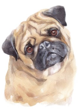 Pug 'un sulu boya resmi