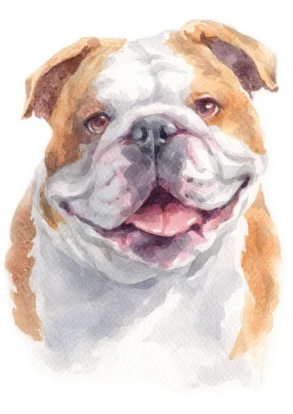 Pintura Cores Bulldog — Fotografia de Stock