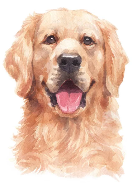 Pintura Acuarela Golden Retriever — Foto de Stock