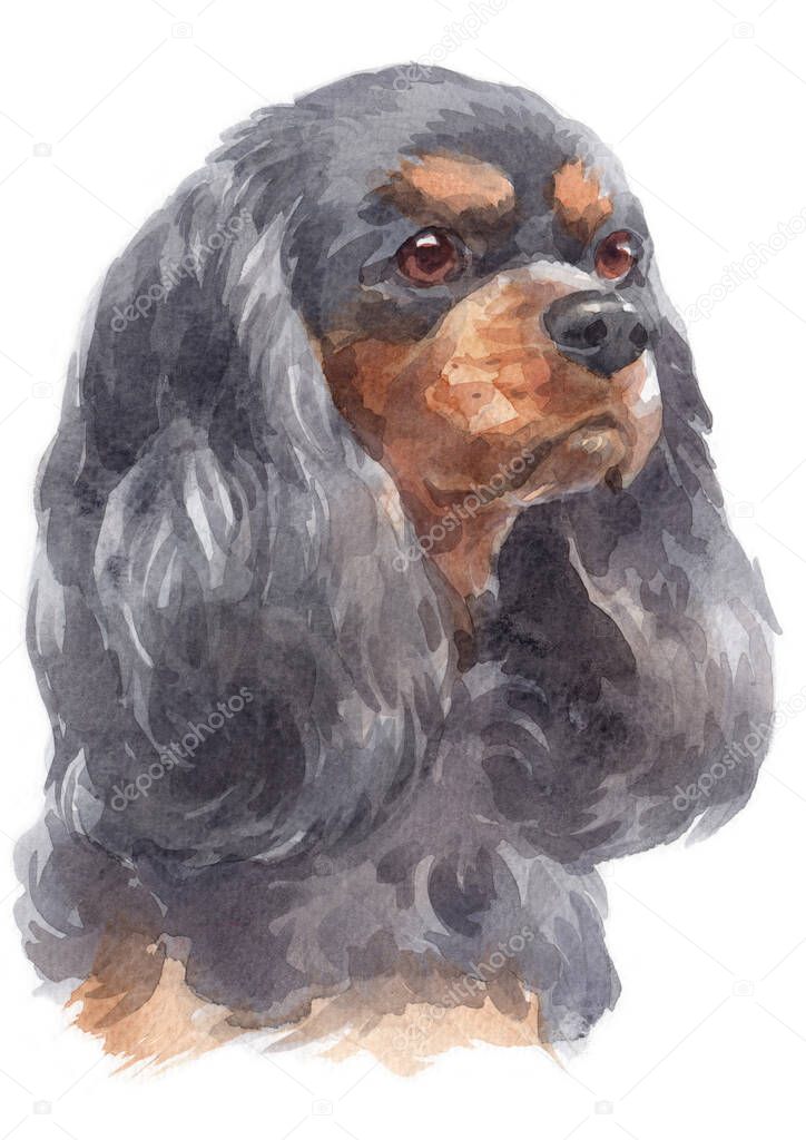 Water colour painting of Cavalier King Charles Spaniel