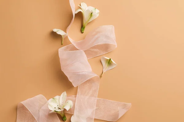 Çiçekli ve bej arkaplanlı pembe kurdeleli yumuşak bembeyaz bir kompozisyon. İlkbahar yaz doğal kartpostal, çerçeve, metin için boşluk, üst görünüm kavramını kabul et.