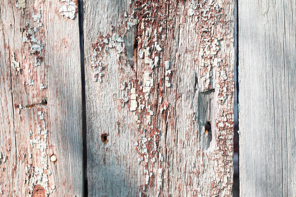 closeup of old wood planks texture background