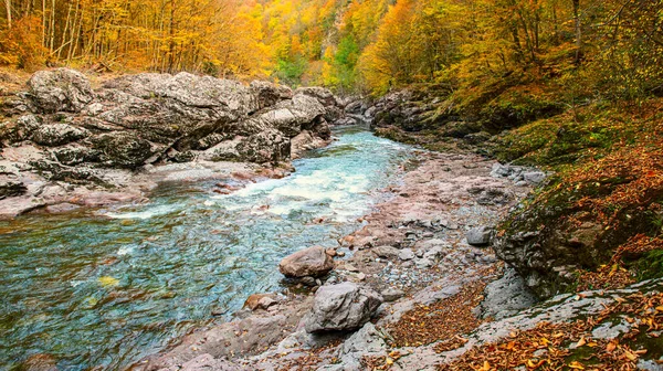 Řeka Belaya Největší Řekou Ruské Republice Adygea Léto Bylo Bez — Stock fotografie