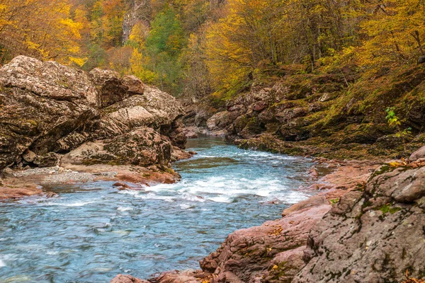 Río Belaya Río Más Grande República Adygea Rusia Verano Era —  Fotos de Stock