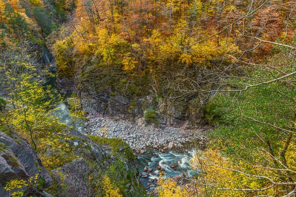 Belaya Riverbed Bottom Deep Gorge Canyon Republic Adygea Russia — Stock Photo, Image