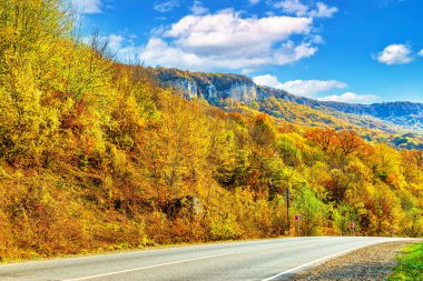 Yoğun bir ormanla kaplı bir dağ geçidinin sonbahar manzarası