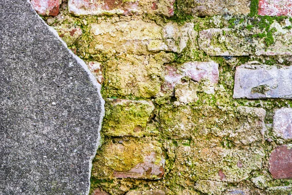 Old mossy brick wall — Stock Photo, Image