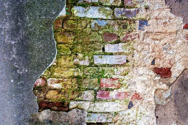 Old mossy brick wall — Stock Photo, Image