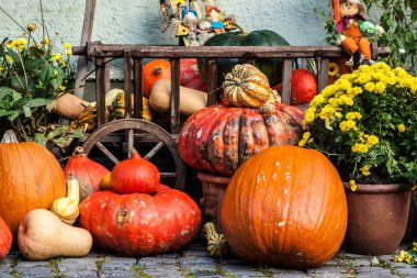 Хеллоуїн, гарбузи на вулиці