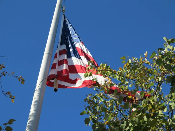 Amerikanska flaggan mot blå himmel med träd på hösten börjar förändras — Stockfoto