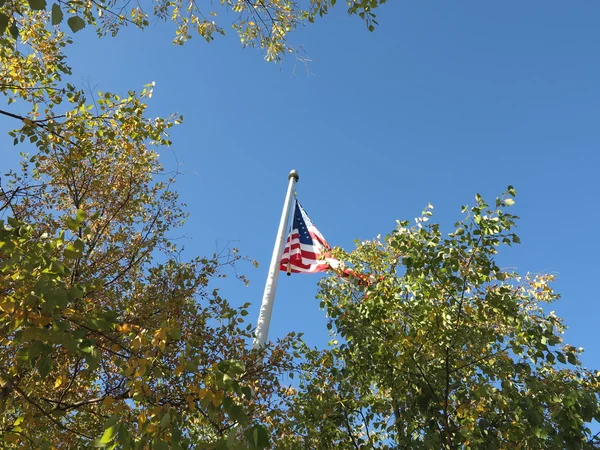 변화 시작 하는 에서 나무와 푸른 하늘에 대 한 미국 국기 — 스톡 사진