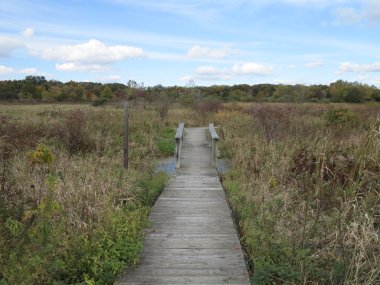 Mesafe buzultaş Hills Devlet Parkı, bulut oluşumu ile ahşap tahta