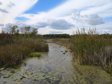 Pike Marsh Gölü Defiance at buzultaş Hills devlet Park bulut oluşumu ile girme