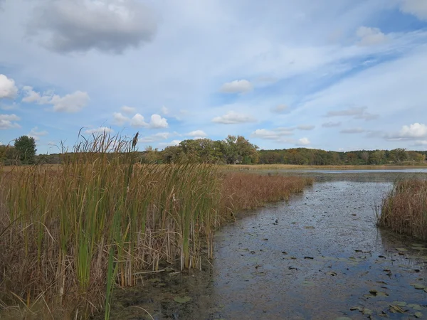 Pike Marsh entrando en Lake Defiance en Moraine Hills State Park con formación de nubes — Foto de Stock