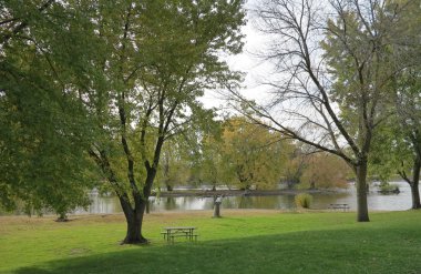 Erken sonbahar ağaç manzara Mchenry Barajı Illinois Fox River'da boyunca