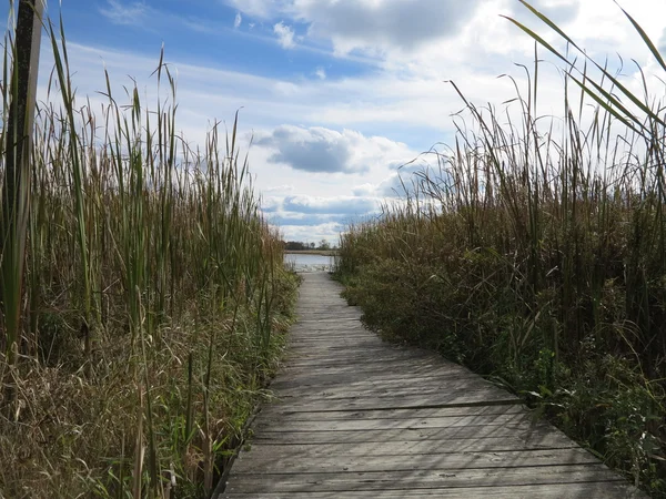 Pasarela de madera mirando hacia el lago Defiance en Moraine Hills State Park en McHenry, Illinois — Foto de Stock