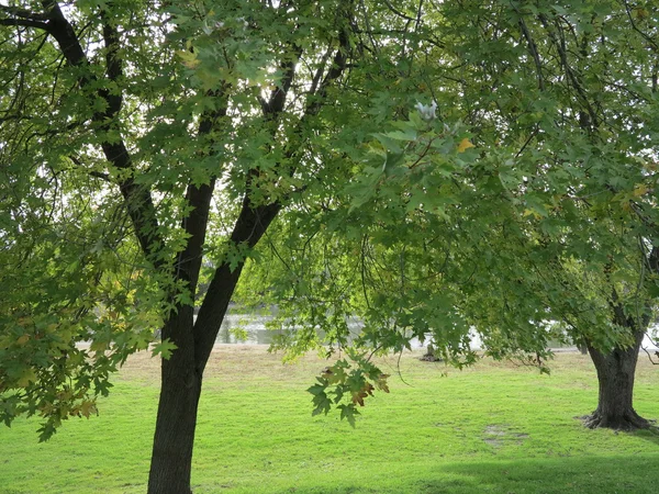 Vroege herfst boom landschap langs de rivier Fox op Mchenry Dam in Illinois — Stockfoto